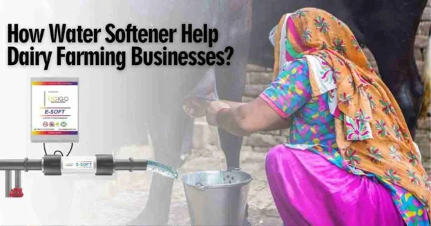 How E-Soft Water Softener Help in Dairy Farming