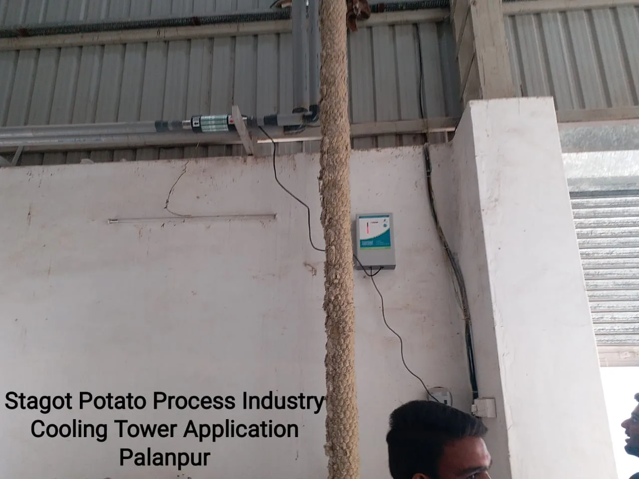 Stagot Potato Process Industry Palanpur jpg