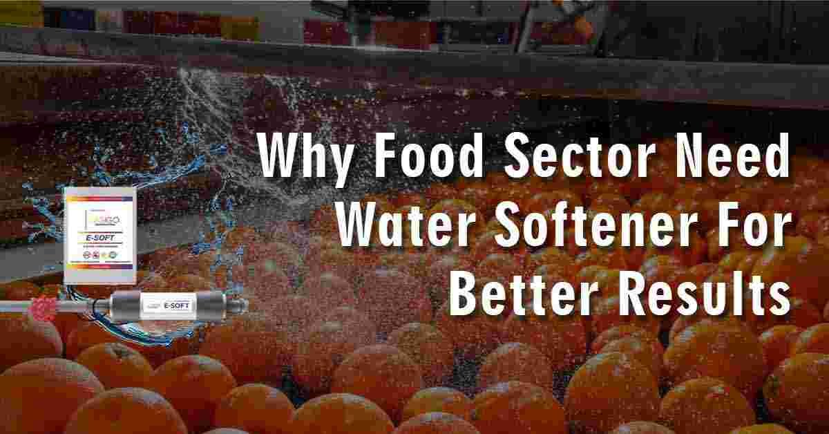 The Crucial Role of Industrial Water Softener in India’s Food Sector