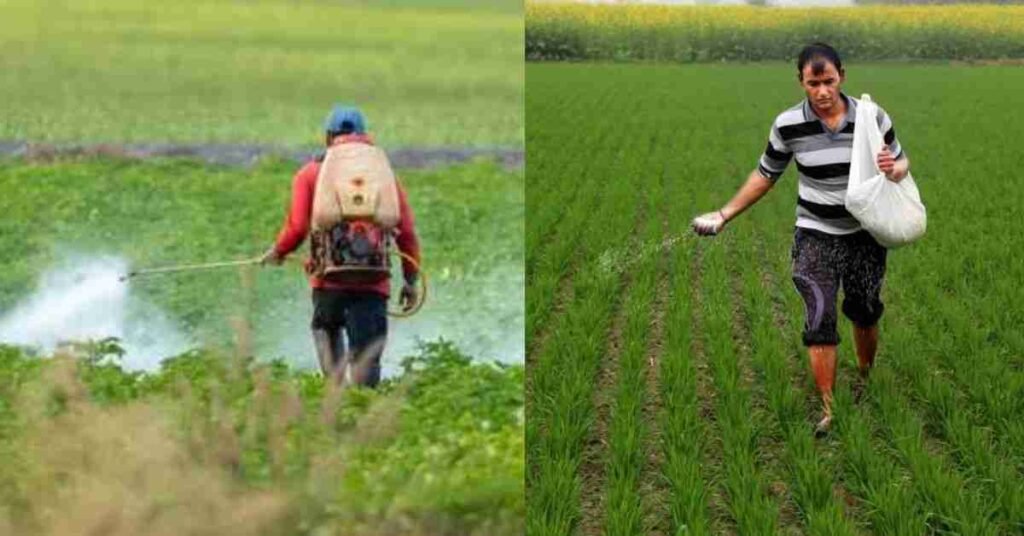 Farmers spay presticides and fertilizers in farm
